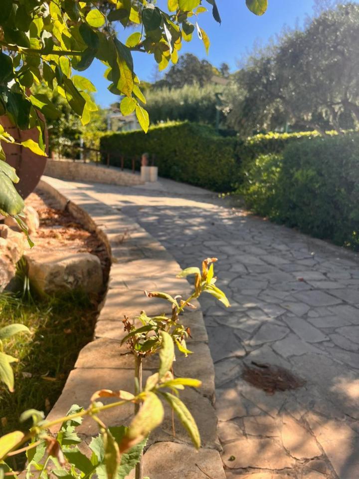 Villa Aurea Ispica Exteriör bild