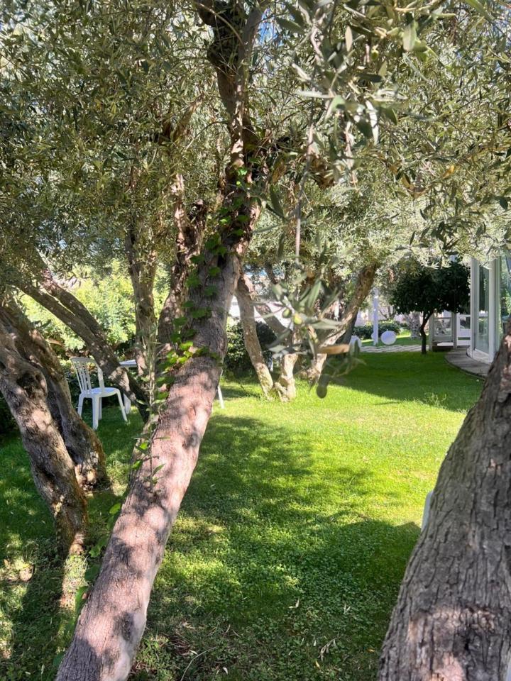 Villa Aurea Ispica Exteriör bild